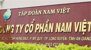 Công Ty Cổ Phần Nhà Phương Nam Việt Nam Tuyển Dụng 2024