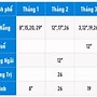 Đổi Lịch Thi Ielts Ở Bc