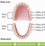 Mất Răng Hàm Số 6