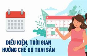 Tư Vấn Bảo Hiểm Xã Hội Chế Độ Thai Sản