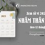 Xem Tử Vi Tuổi Nhâm Thân Nam Mạng Năm 2023